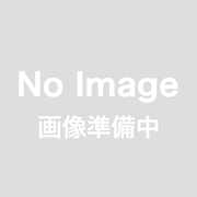 市田柿200ｇ（伝統干し柿）